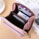 Bolsa Carteira Crossbody